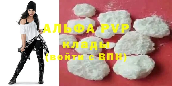 стаф Абинск