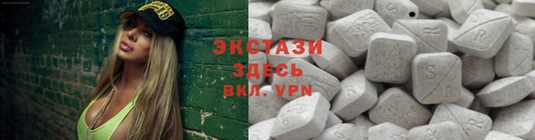 амф Ельня