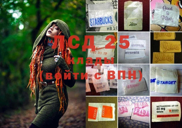 стаф Абинск