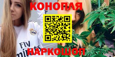 молекула духа Ставрополь
