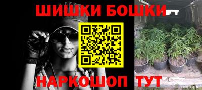 молекула духа Ставрополь