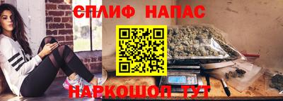 молекула духа Ставрополь