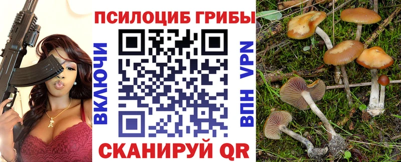 Галлюциногенные грибы ЛСД  где найти   дарк нет какой сайт  Северодвинск 