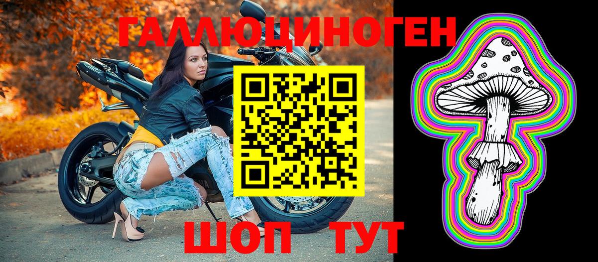 Галлюциногенные грибы Psilocybine cubensis Северодвинск