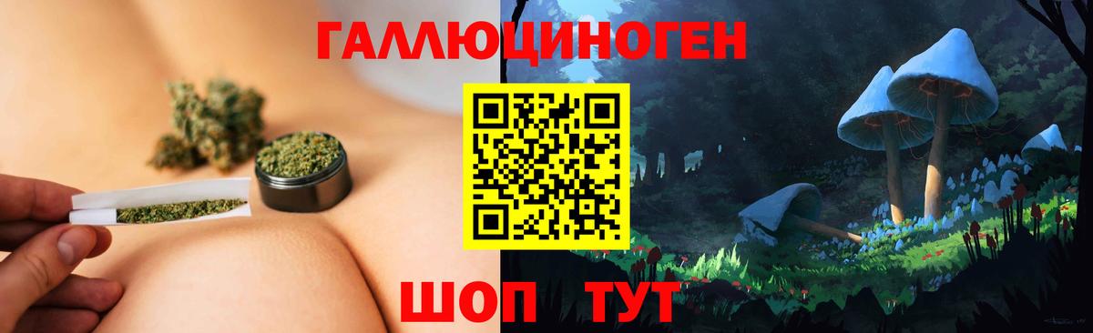 Северодвинск  Галлюциногенные грибы Psilocybine cubensis  Вход с VPN 