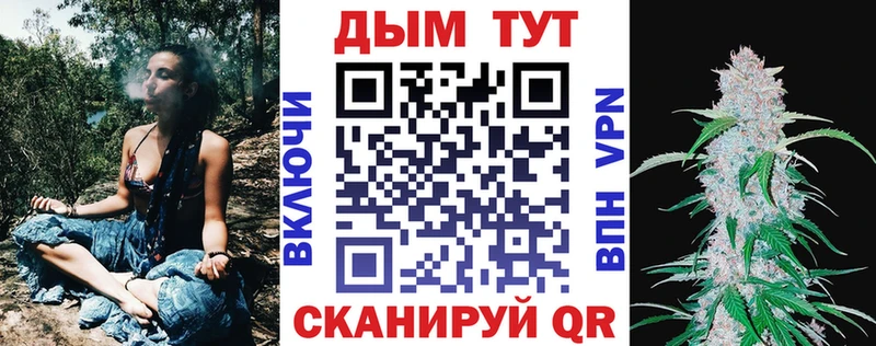 купить наркотики цена  Северодвинск  гидра ссылка  Шишки марихуана THC 21% 